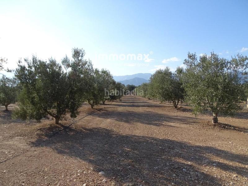 Foto 058bead9-49e8-405b-98c1-2b862781bbaa. Finca rústica finca rustica en venta en Aldover