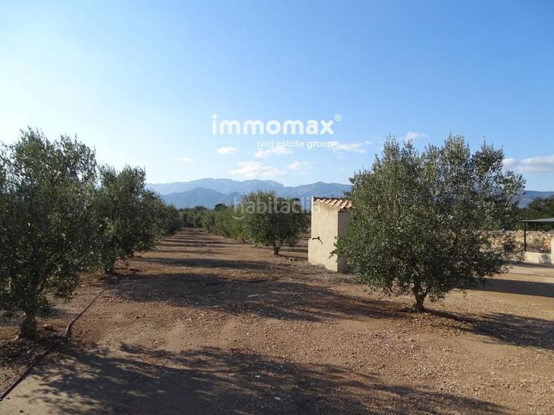 Foto 3d52d676-916a-4fbd-a4de-09d10bcf7400. Finca rústica finca rustica en venta en Aldover