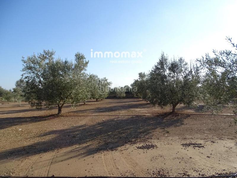 Foto 4fd23c61-7cf8-4d6c-8fb7-837b65f04172. Finca rústica finca rustica en venta en Aldover