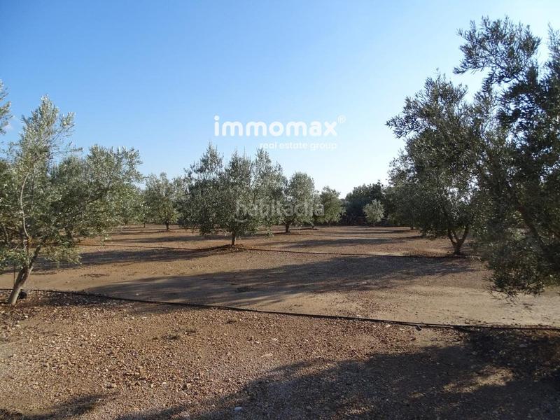 Foto 6cd91295-b554-4a10-a410-f5ef4b624e33. Finca rústica finca rustica en venta en Aldover