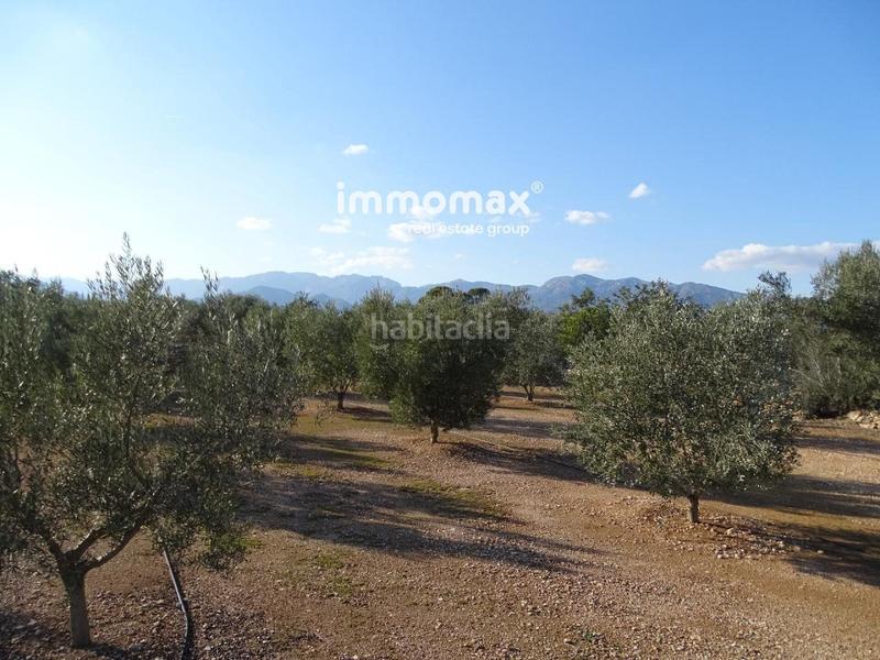 Foto aafd7ad4-343a-4dc9-b458-4fb442e8c8bd. Finca rústica finca rustica en venta en Aldover