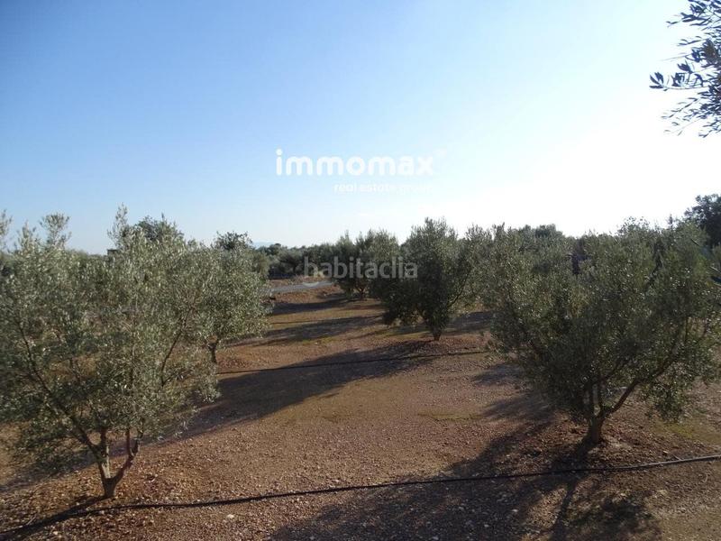 Foto c8afae47-2c39-4ec9-8496-b2493fa695fd. Finca rústica finca rustica en venta en Aldover