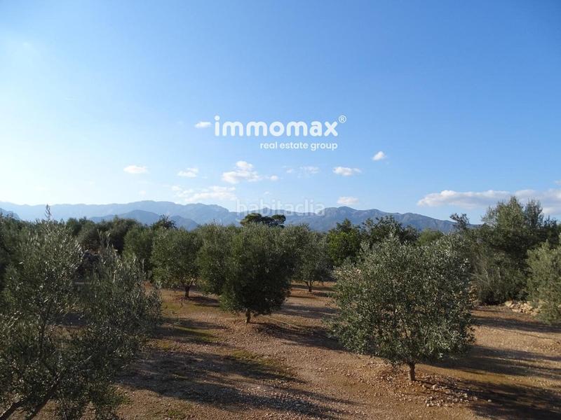 Foto d4460941-6d0b-4ecf-9c11-9d82d52e5ccf. Finca rústica finca rustica en venta en Aldover