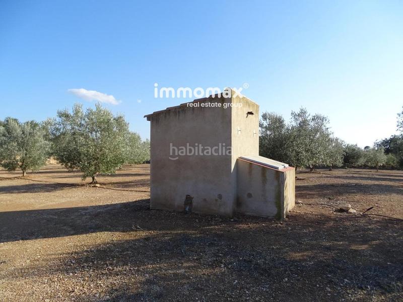 Foto e9bdd8fc-be2e-47da-94aa-82a8a0fa0704. Finca rústica finca rustica en venta en Aldover