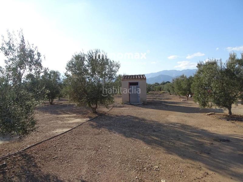 Foto f947b0d2-a9f3-4c17-b6b4-9bc43350fc81. Finca rústica finca rustica en venta en Aldover