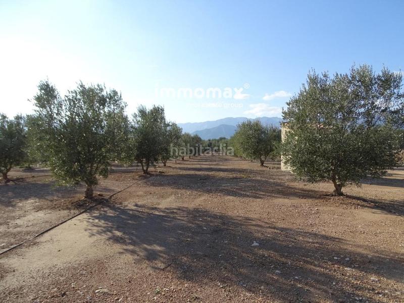 Foto fa89bdef-3822-467d-b58e-f0fedf472668. Finca rústica finca rustica en venta en Aldover