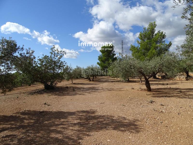 Foto 01d752dd-4f0b-42cd-b32b-ef424c18a722. Finca rústica a Xerta