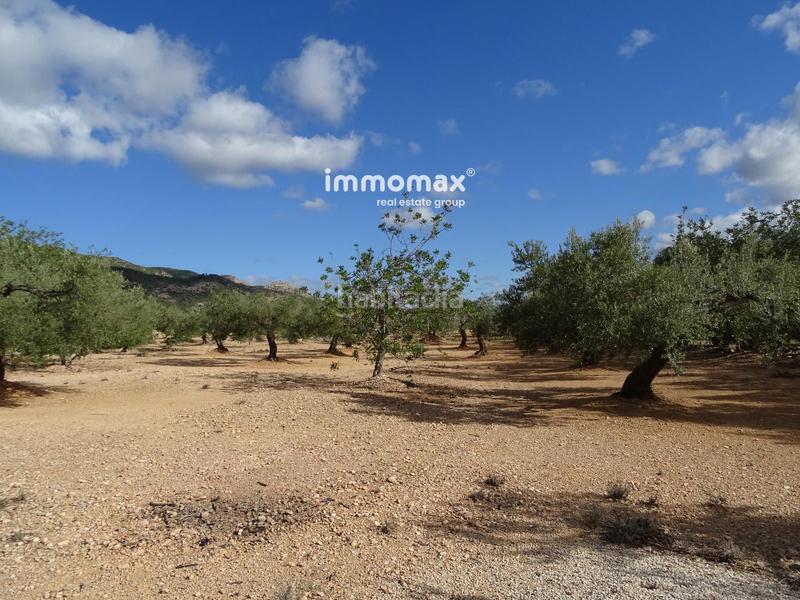 Foto 0fc51bf3-d589-412b-aa92-7eaee0628064. Finca rústica a Xerta