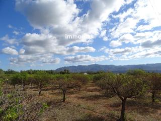Rural plot  14. Finca rústica en venta en xerta con agua
