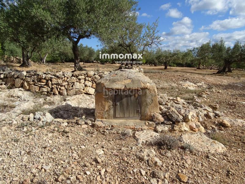 Foto 43a16766-34ac-4fde-945f-0d050e17f98f. Finca rústica a Xerta