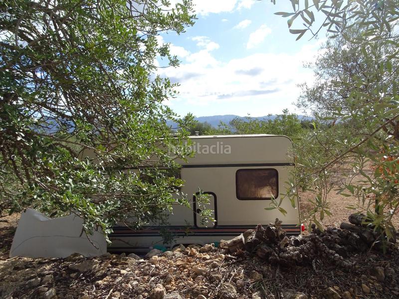 Foto 5506ae8b-66fd-46f3-b002-84a88ccedb67. Finca rústica a Xerta