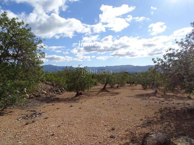 Foto 631213af-16fc-40a0-88c7-ff3c4c821f70. Finca rústica a Xerta