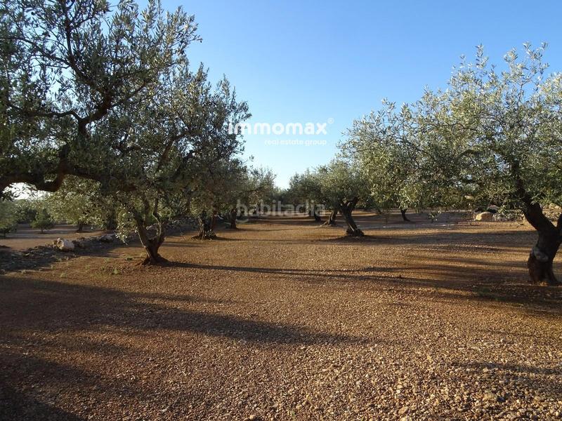 Foto 8fc2aa4c-3ab0-43d7-8de7-9e12df19e190. Finca rústica a Xerta