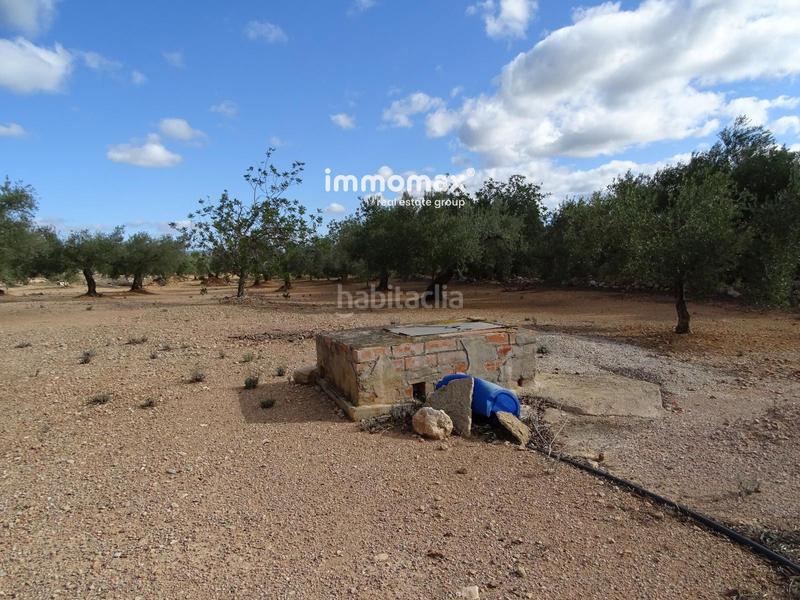 Foto a6ca48a1-9b7b-4aee-a4a8-3855f341071b. Finca rústica a Xerta