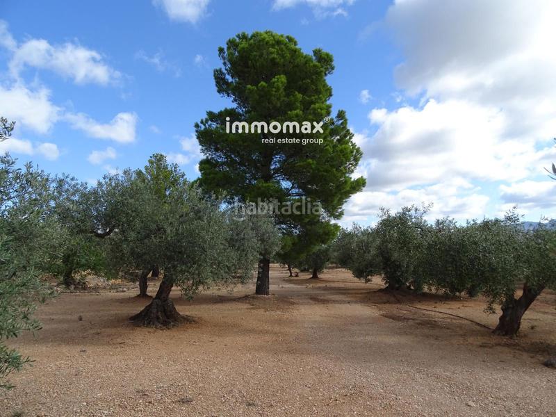 Foto ab4e44fa-fa13-4a76-8dbc-dc6840bc0ddb. Finca rústica a Xerta