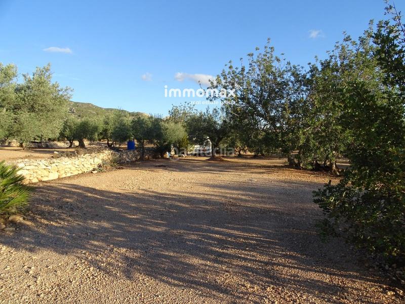 Foto abb3f102-24c2-4853-89a1-4935f2a12849. Finca rústica a Xerta