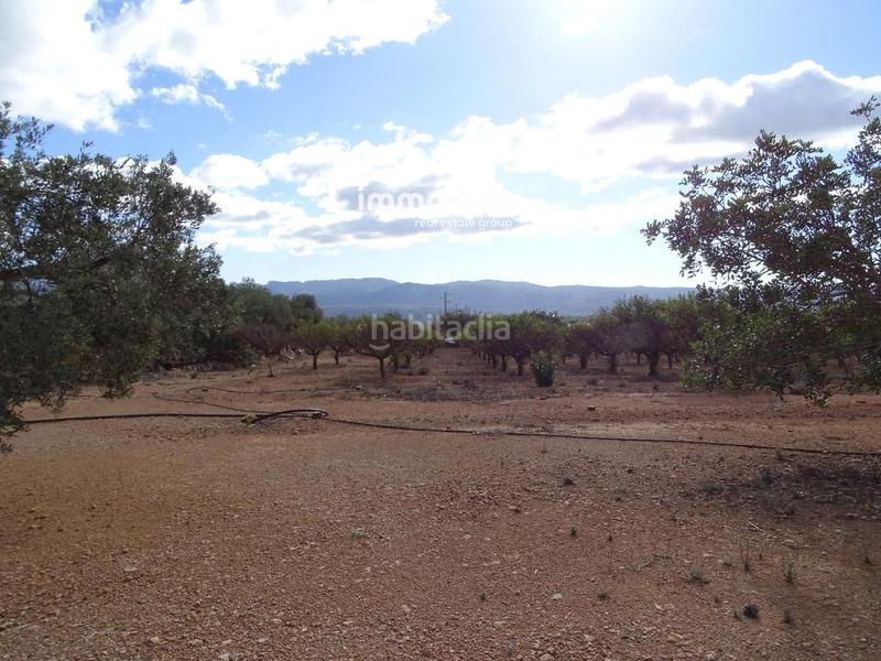 Foto d19f4ec1-1c73-474a-a13b-99f73cbc0a3f. Finca rústica a Xerta