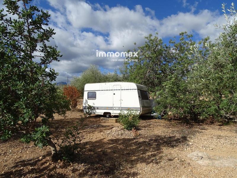 Foto de68cde7-8a43-4ba6-beb1-921b63554443. Finca rústica a Xerta