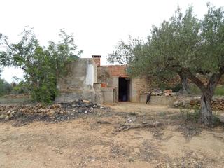 Residential Plot  136. Finca rústica en venta en bitem