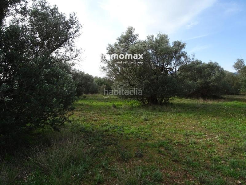 Foto 09c93c41-534b-489b-9954-9fdb075b866a. Terreny residencial a Xerta