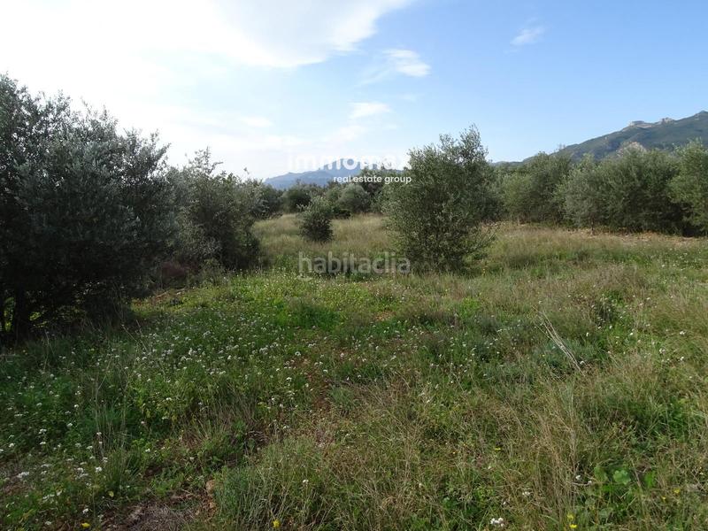 Foto 104289eb-fc04-46b5-8939-8172efe16f35. Terreny residencial a Xerta