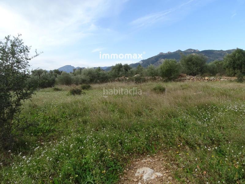 Foto 209c70d9-3ce1-4ff3-a447-b18abf7e0d13. Terreny residencial a Xerta