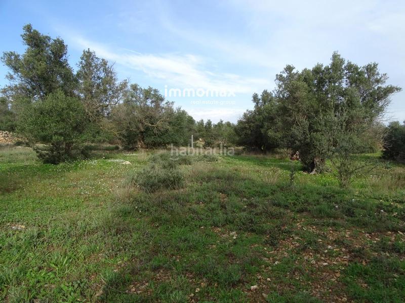 Foto 230f93aa-1edf-4953-8536-8b8d04731fce. Terreny residencial a Xerta