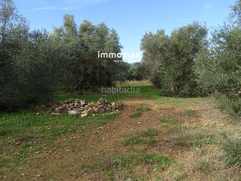 Foto 2c7731cf-fffd-4ec5-9ddd-ffc6c00227bc. Terreny residencial a Xerta