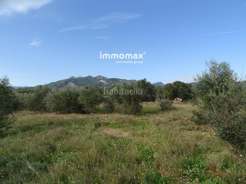 Foto 2e4f61d2-4235-4816-aa30-734cd511509e. Terreny residencial a Xerta