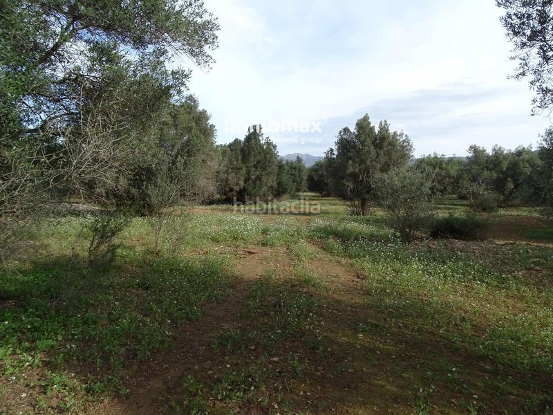 Foto 44d934fd-5700-4633-9a55-9461d6e63efb. Terreny residencial a Xerta