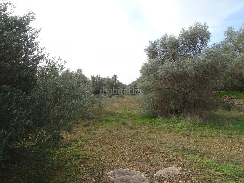 Foto 5330adc7-8db0-4c56-9800-08813ed48a07. Terreny residencial a Xerta