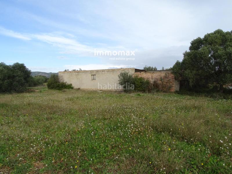 Foto 5be0d242-84b5-40d5-9416-4a337d0fc8d5. Terreny residencial a Xerta