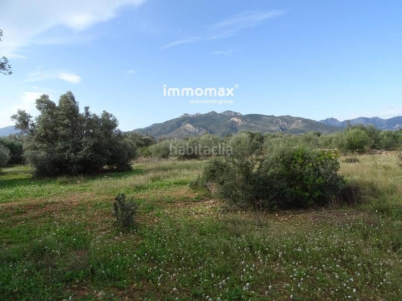 Foto 5d00fe45-1cd7-4b02-ad40-db54751c119e. Terreny residencial a Xerta