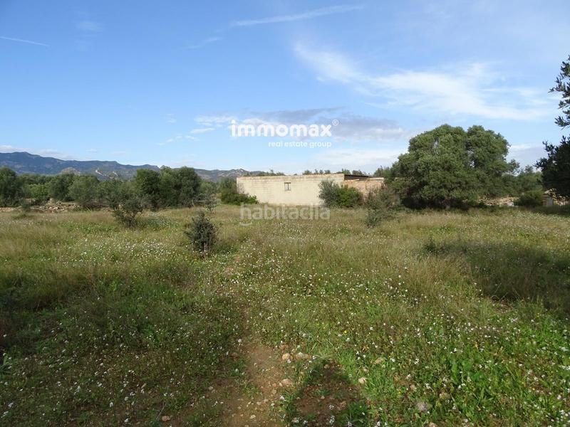 Foto 7c40bbac-a25d-4766-a2ba-7041efb2b10f. Terreny residencial a Xerta