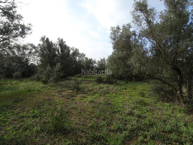 Foto 83eed8af-7798-4f16-a834-77520e80085c. Terreny residencial a Xerta