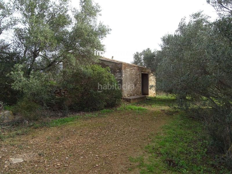 Foto 9811d5eb-bb36-43cd-b8b7-ac49ec645ee8. Terreny residencial a Xerta