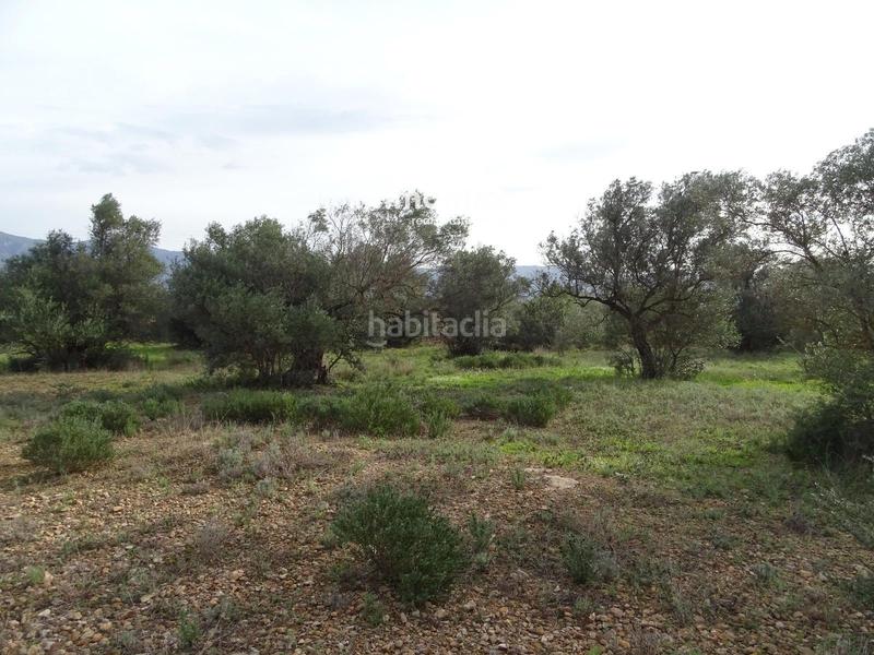 Foto b4402363-0527-4cfd-950f-f5ce1247aadf. Terreny residencial a Xerta