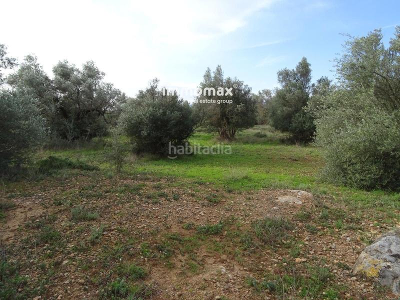 Foto bd242017-4c51-42f8-8372-19e5fe70c8e8. Terreny residencial a Xerta