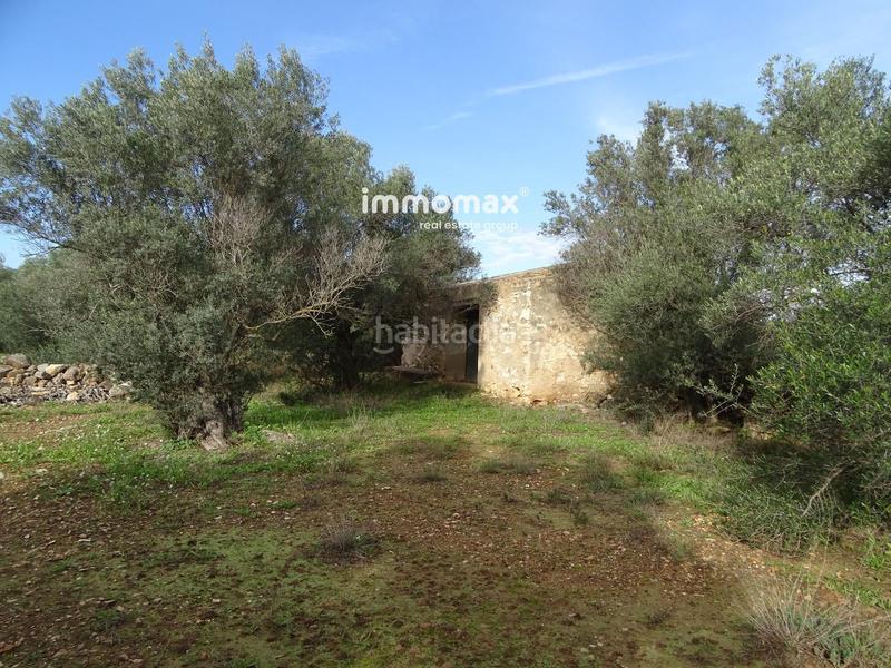 Foto fb077a69-fecf-4aca-b708-b598261672e2. Terreny residencial a Xerta