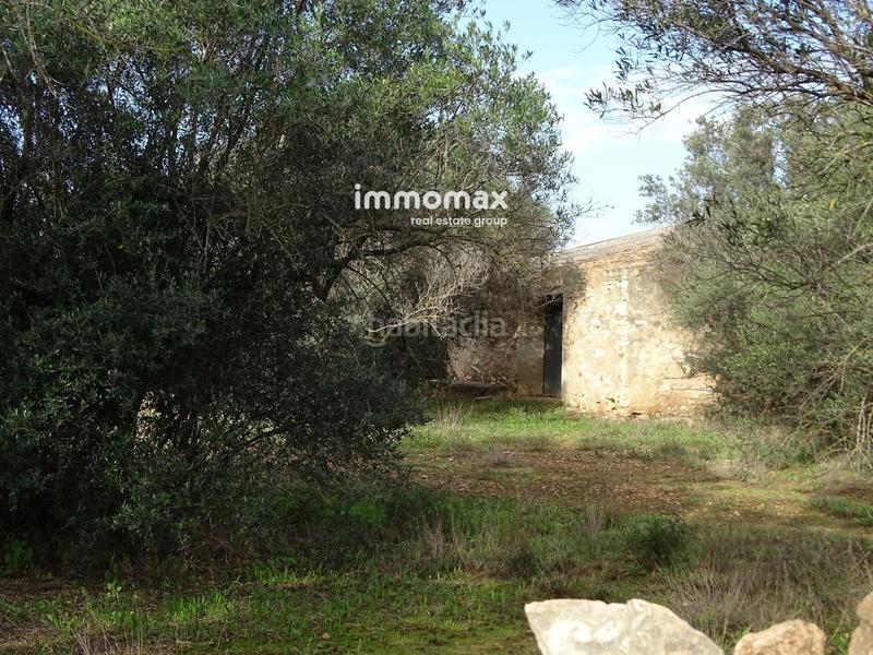 Foto fd91a40c-a428-4205-8090-eb70ca2b0554. Terreny residencial a Xerta