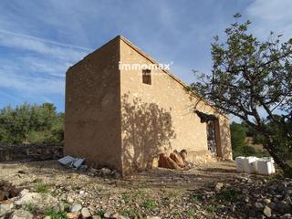 Residential Plot  16. Finca rústica en venta en xerta