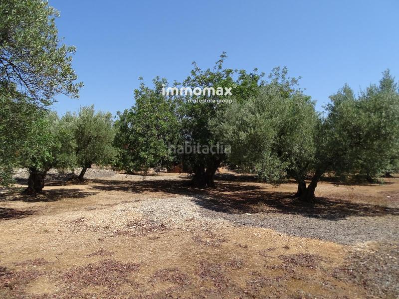 Foto 12af6441-abf9-4d04-8933-dc780db76b76. Wohngrundstück in Xerta