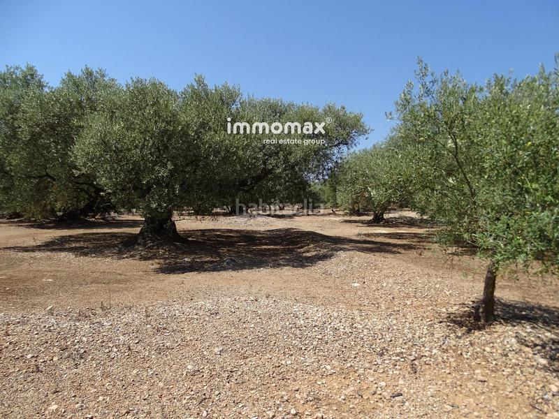 Foto 7127afc3-3feb-4481-85ca-372640843f33. Wohngrundstück in Xerta