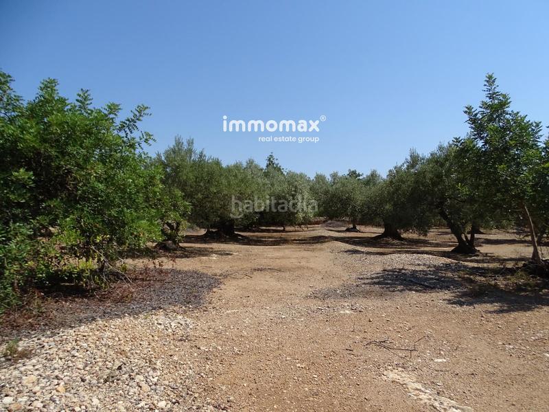 Foto 7bc7618a-8e0f-4855-9380-2171df7796b3. Wohngrundstück in Xerta