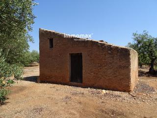 Residential Plot  16. Finca rústica en venta en xerta con posibilidad de agua
