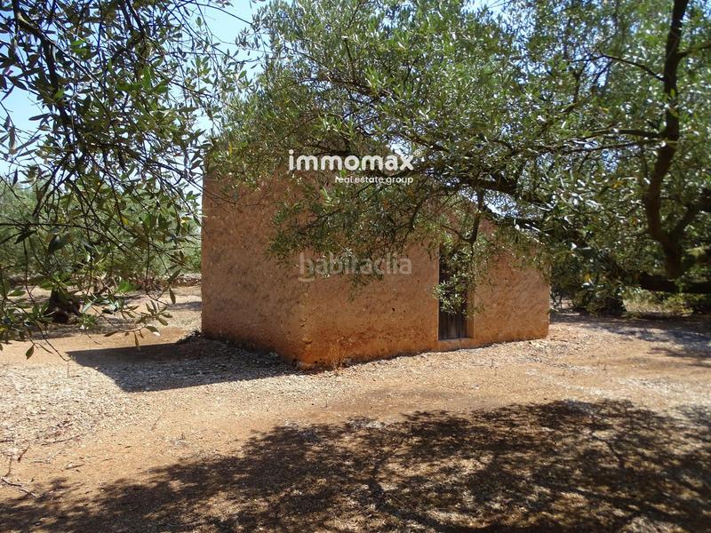 Foto bdd1c719-3b59-4bf3-9ba8-d5d5b01cb9c2. Wohngrundstück in Xerta