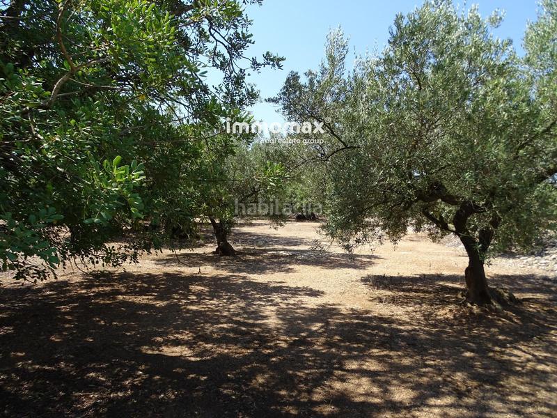 Foto c646c4a3-db80-4c78-b345-eb83a6204847. Wohngrundstück in Xerta