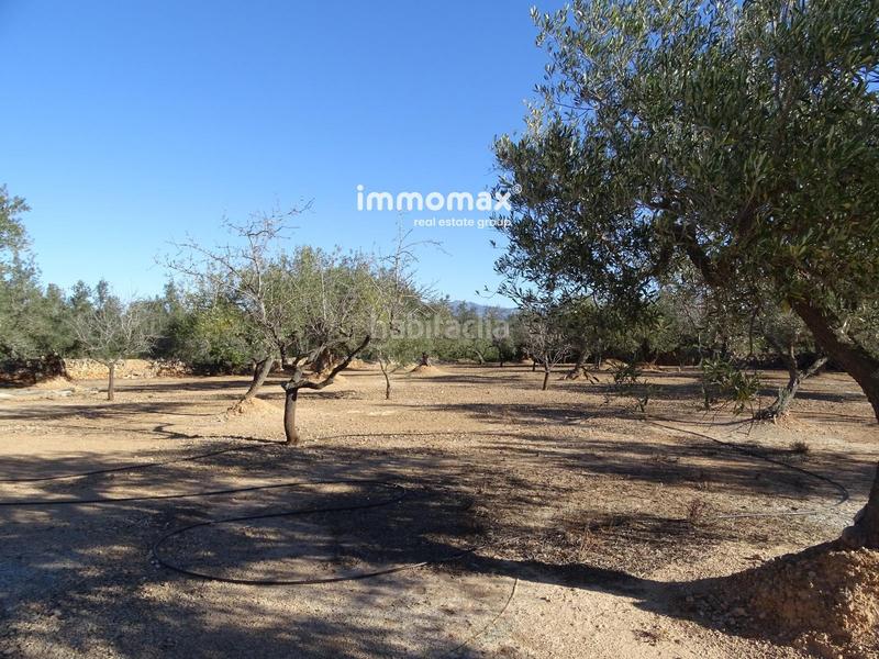 Foto 24ddd6b4-e859-4d4b-9b81-e9dd300f7f15. Residential plot in Aldover