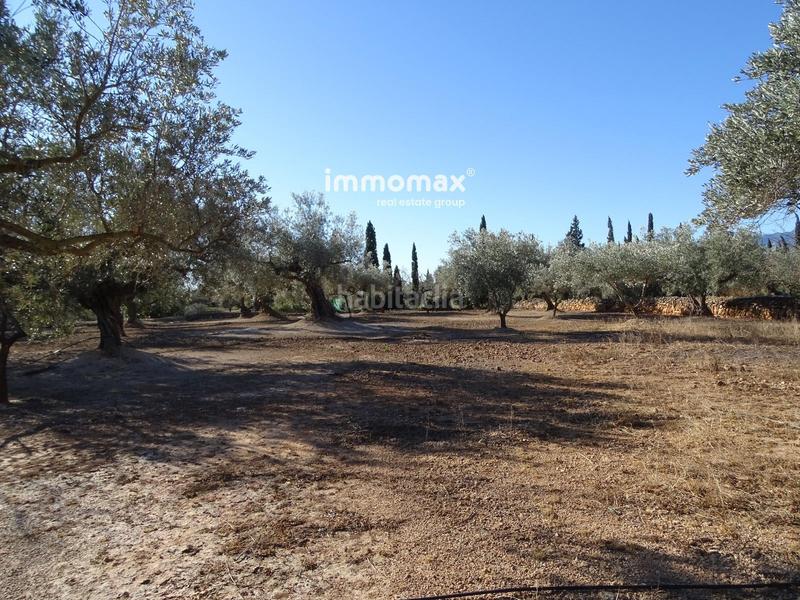 Foto 265a3f6e-830b-4a37-84ba-2e83eefad45e. Residential plot in Aldover