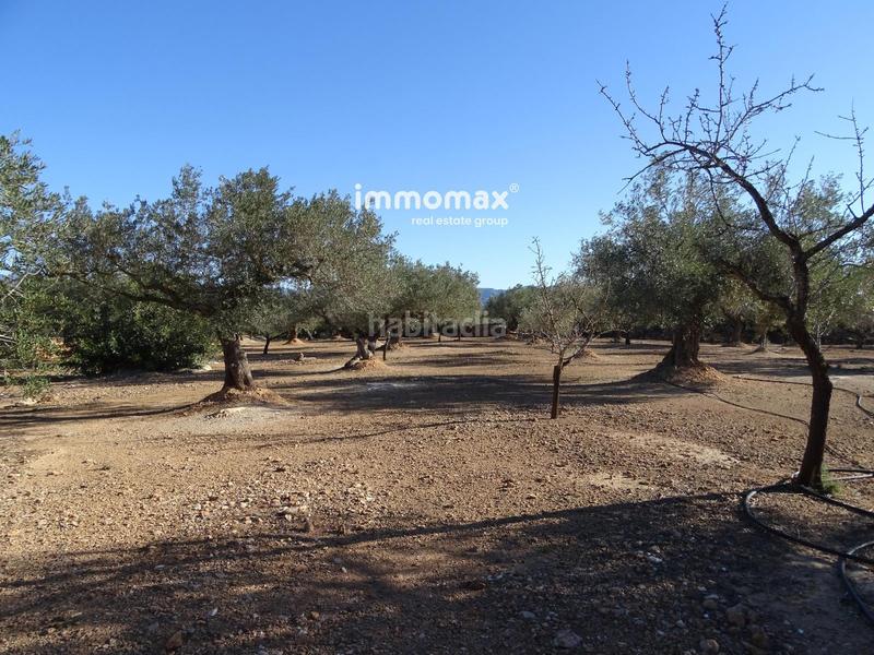 Foto 79d0fb4b-6cdf-4d9c-83d2-b1fe2e08468d. Residential plot in Aldover